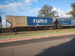 RUMO HPT-031761-6